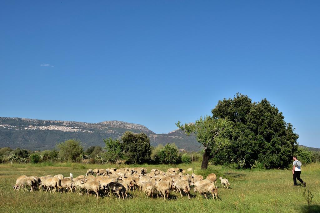 I Mandorli Villa Triei Buitenkant foto