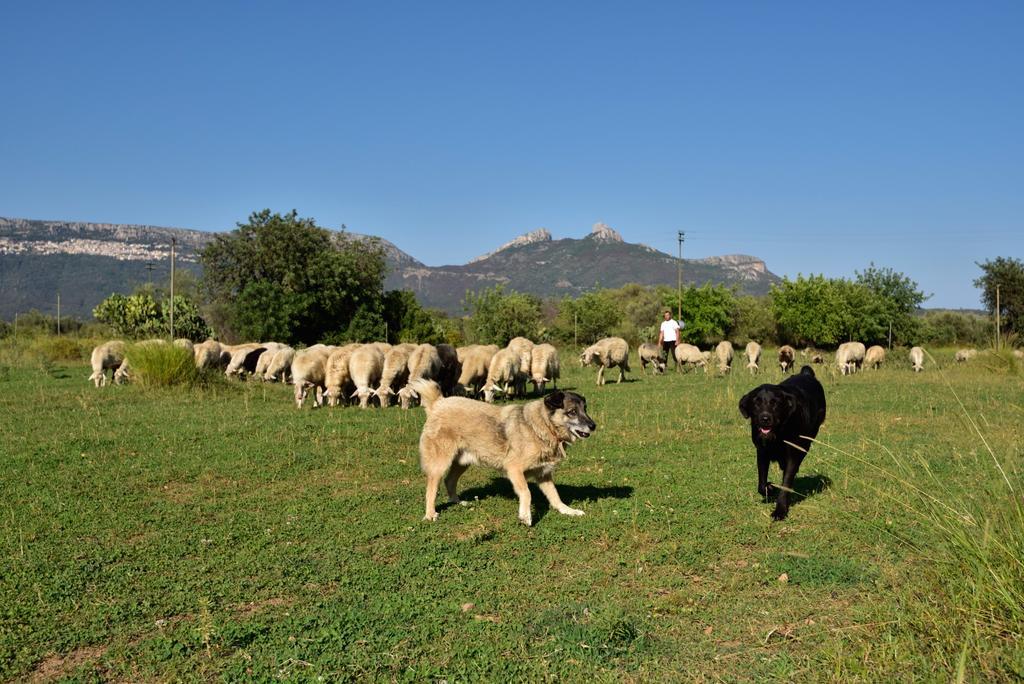 I Mandorli Villa Triei Buitenkant foto