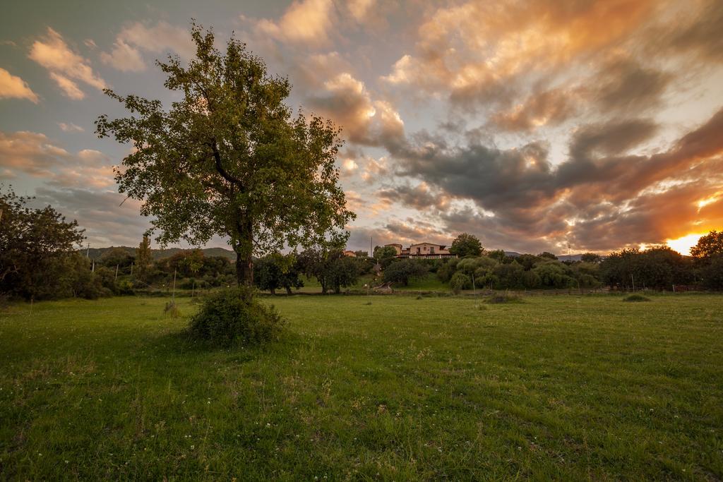 I Mandorli Villa Triei Buitenkant foto